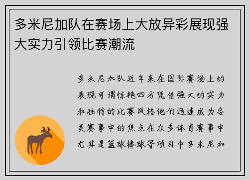 多米尼加队在赛场上大放异彩展现强大实力引领比赛潮流