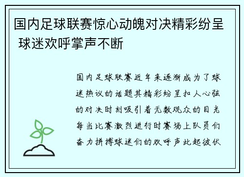 国内足球联赛惊心动魄对决精彩纷呈 球迷欢呼掌声不断