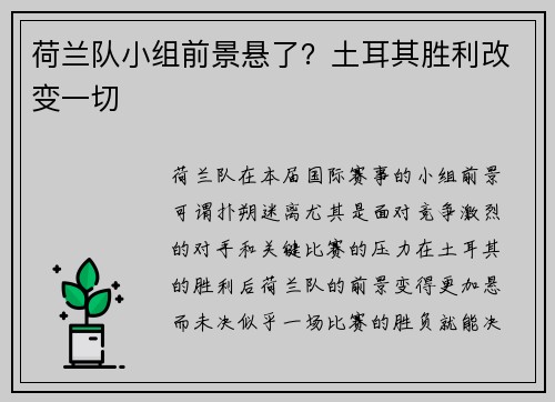 荷兰队小组前景悬了？土耳其胜利改变一切
