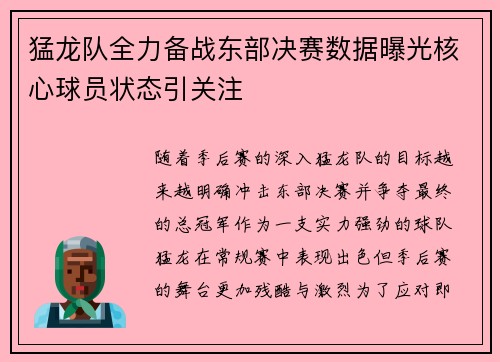 猛龙队全力备战东部决赛数据曝光核心球员状态引关注